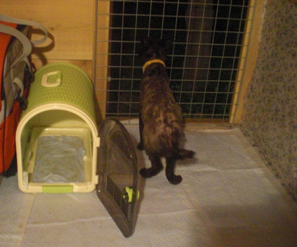 20100427home06.JPG