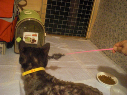 20100427home07.JPG