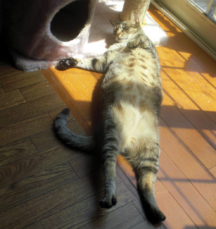 20100501home02.JPG