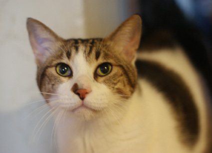 20100502home12-a84ec[1].jpg