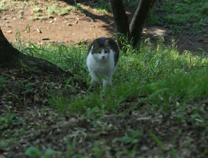20100502park02.JPG