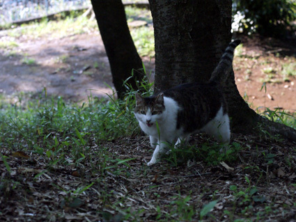 20100502park03.JPG