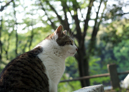20100502park08.JPG