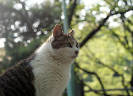 20100502park09.JPG