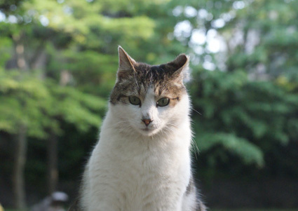 20100502park10.JPG