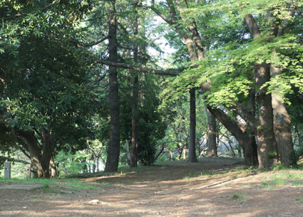 20100502park11.JPG