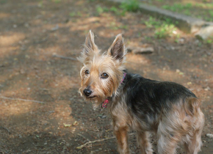20100502park12.JPG