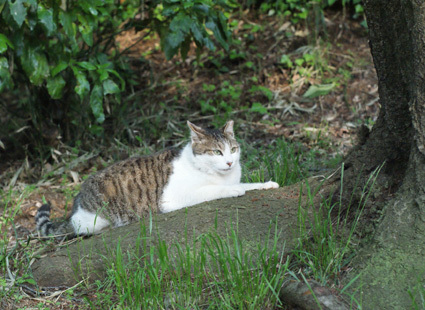 20100502park14.JPG