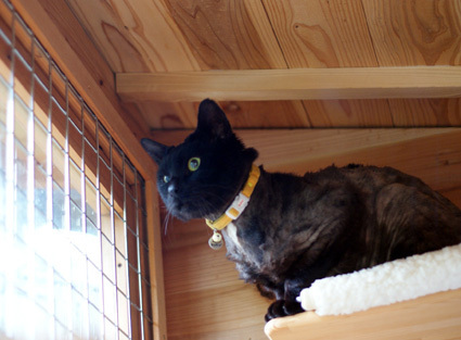 20100509home04.JPG