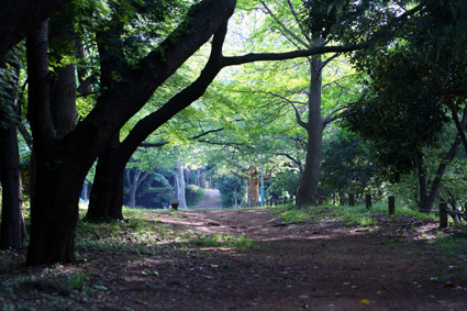 20100509park01.JPG