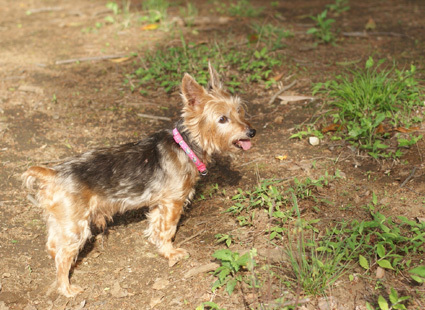 20100509park03.JPG
