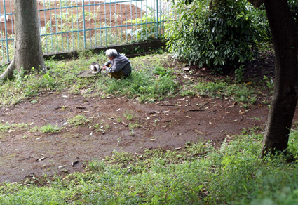 20100515park01.JPG