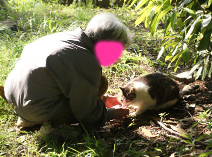 20100515park05.JPG
