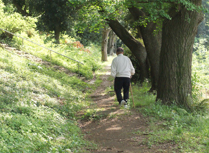 20100515park06.JPG