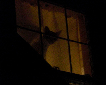 20100516home04.JPG