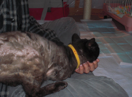 20100516home05.JPG
