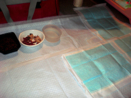 20100516home06.JPG
