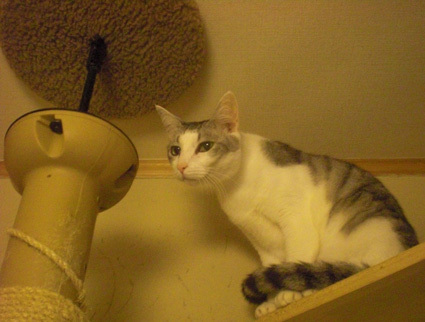 20100516home07.JPG