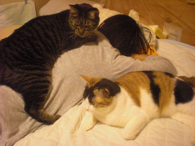 20100522rum01.JPG
