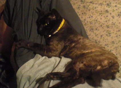 20100525home02.JPG