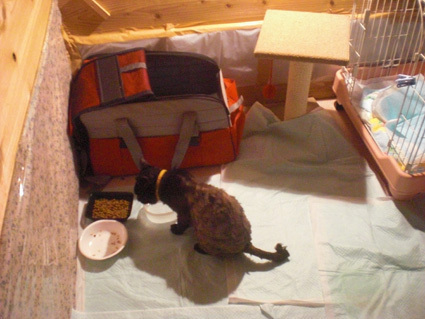20100525home03.JPG