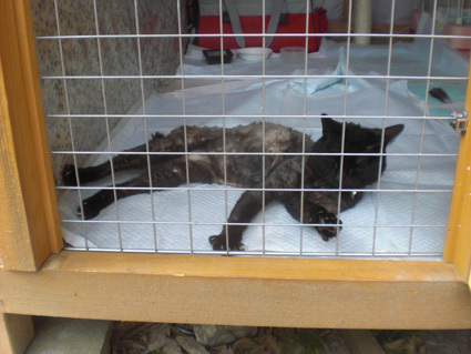 20100525home04.JPG