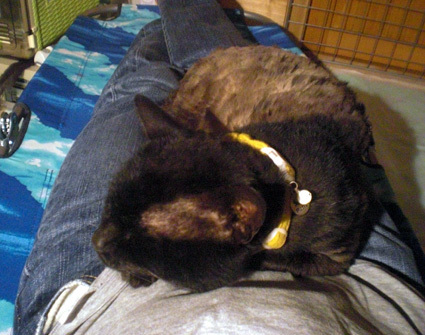 20100529home05.JPG