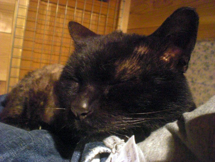 20100529home06.JPG