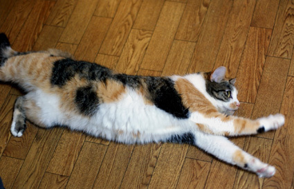 20100530home02.JPG