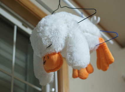 20100608home01.JPG