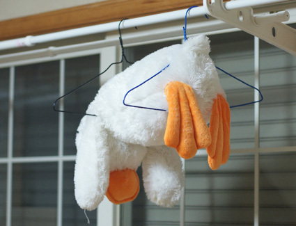 20100608home02.JPG