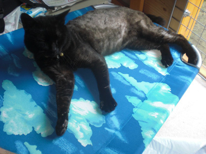 20100620home04.JPG