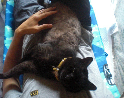 20100620home06.JPG