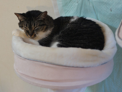 20100620home10.JPG