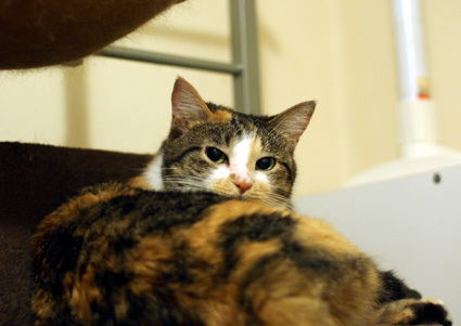 20100627home02.JPG