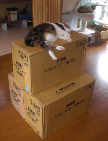 20100628home01.JPG