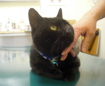 20100703hospital01.JPG