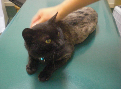 20100703hospital02.JPG