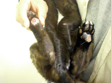20100703hospital03.JPG