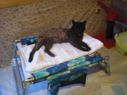 20100704home01.JPG