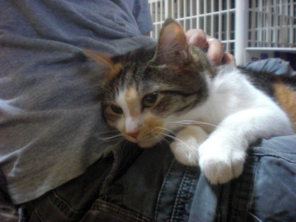 20100725home01.JPG