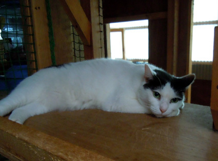 20100814fujimi17.JPG