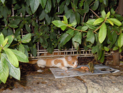 20100821park01.JPG