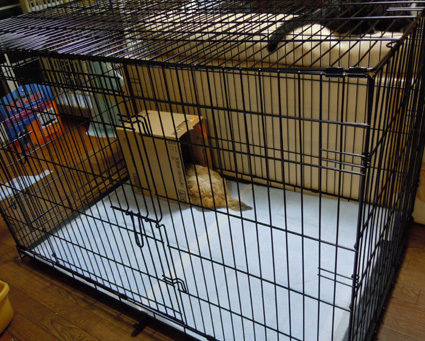 20100827home01.JPG