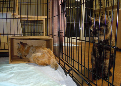 20100830home01.JPG