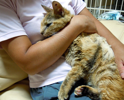 20100830home03.JPG