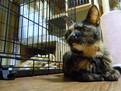 20100830home04.JPG