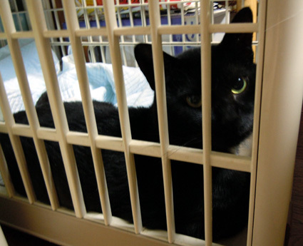 20100914home01.JPG