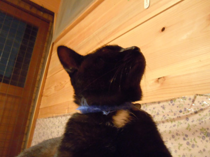 20100915home02.JPG