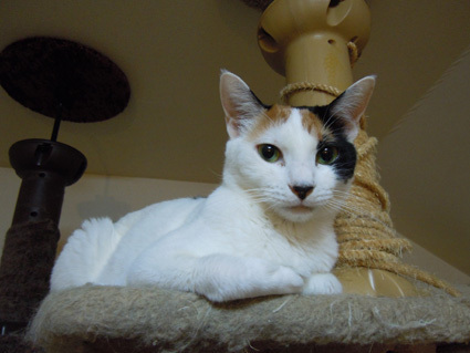 20100916home01.JPG